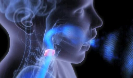 صدا - تعریف صدا - VOICE - خصوصیات فیزیک صدا - ویس - صوتی - پیام صوتی - خصوصیات فیزیک صدا - طول موج صدا - دامنه صدا - سرعت صدا - صطلاح‌های صوت - سرعت انتشار صوت - Sound