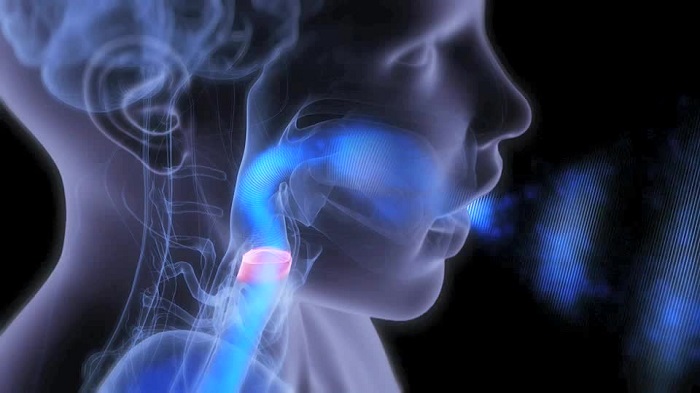 صدا - تعریف صدا - VOICE - خصوصیات فیزیک صدا - ویس - صوتی - پیام صوتی - خصوصیات فیزیک صدا - طول موج صدا - دامنه صدا - سرعت صدا - صطلاح‌های صوت - سرعت انتشار صوت - Sound