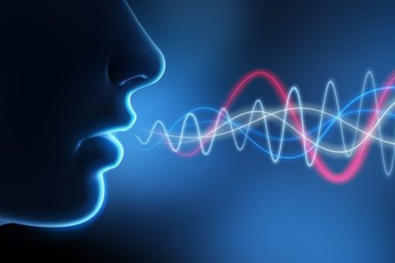 صدای انسان - صوت انسان - تن صدای انسان - اهنگ صدای انسان - صدای انسان چگونس - زیبایی صدای انسان - انواع صدای انسان - تارهای صوتی انسان - تارهای صوتی ادم - تارهای صوتی مهم - قسمت های که در تولید صدا نقش دارند